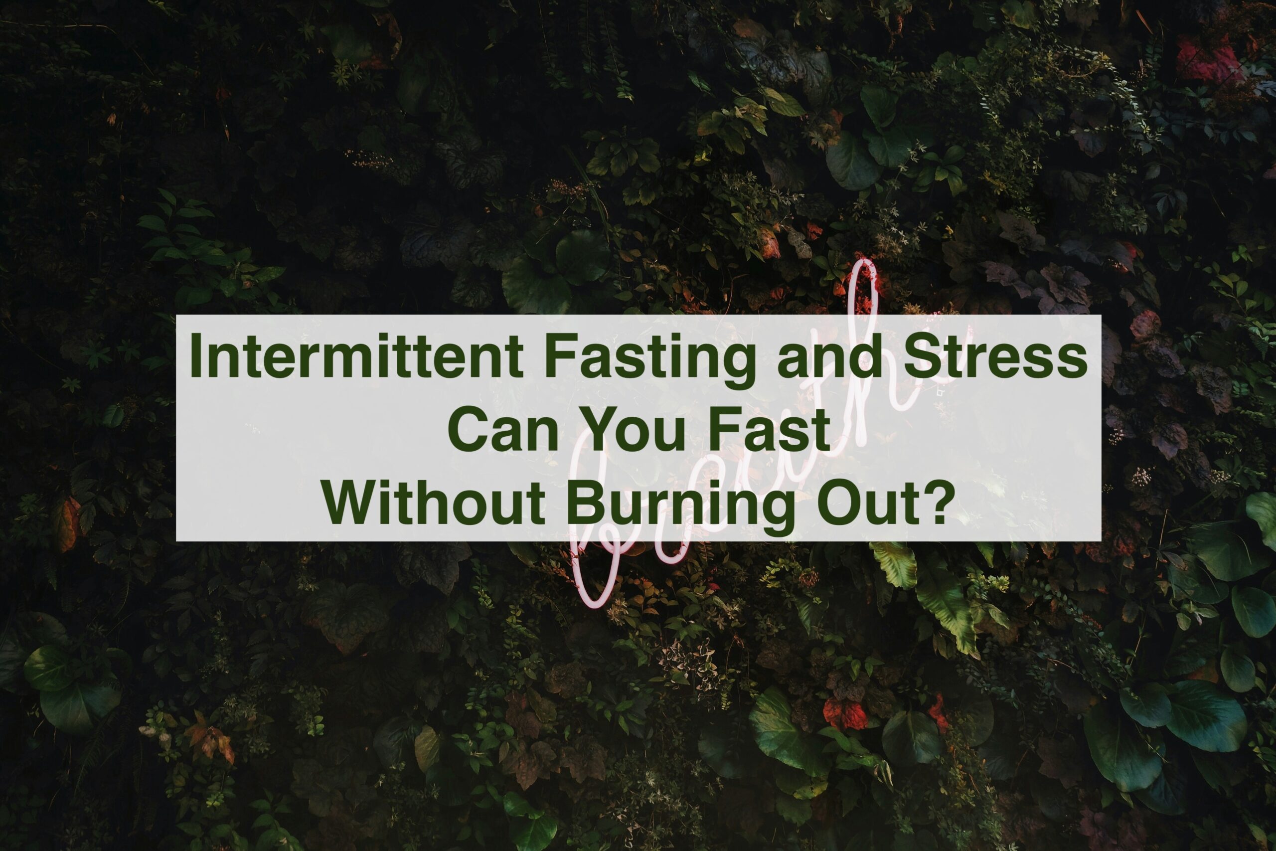 A background with vegetation and the title of the article above : Intermittent Fasting and Stress: Can You Fast Without Burning Out?