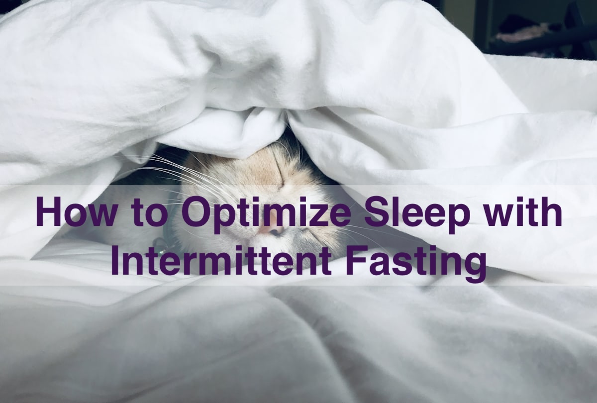 cat sleeping under blanket How to Optimize Sleep with Intermittent Fasting with a image of a cat sleeping under a blanket